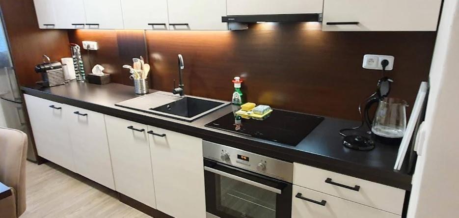Academic Apartment Brno  Esterno foto